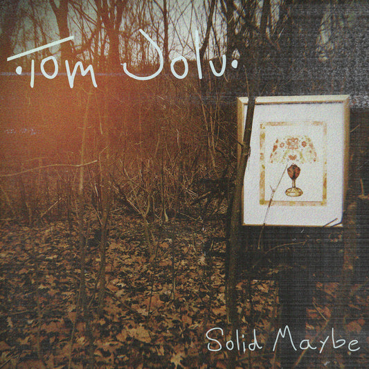 "Solid Maybe" Digital Album